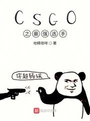 csgo之最强选手全文免费阅读