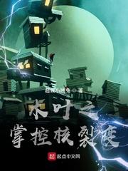 木叶之核聚变