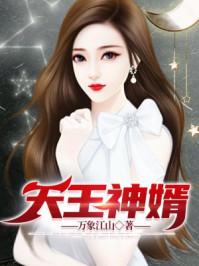 丐王神婿电视剧