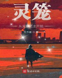 灵笼光影之主到底是什么