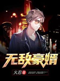 无敌豪婿万家灯