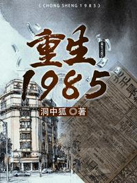 重生1985卖卫生巾