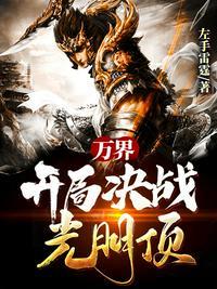万界开局决战光明顶
