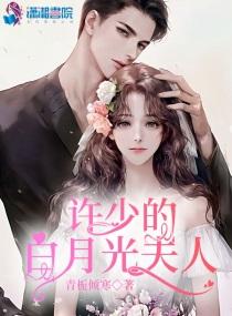 许少的白月光夫人TXT