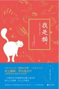 我是猫讲的是什么