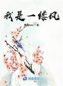 我是一缕风高山作品简介