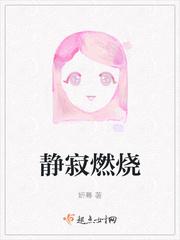 静寂燃烧txt
