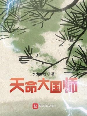天命大国师顶点