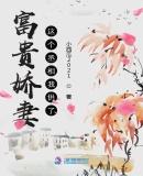 富贵娇妻这个丞相我供了
