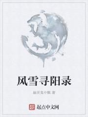 风雪什么阳