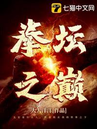 拳坛之巅七猫