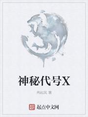 神秘代码讲的是什么