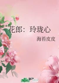 玲珑心 作者花卿歌