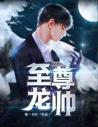 至尊龙帅叶辰易如雪名字