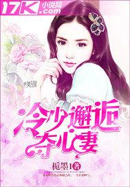 冷少邂逅夺心妻全文阅读