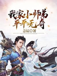玄幻我家小师弟平平无奇 念辰