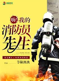 嗨我的消防员先生