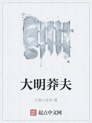 大明莽夫张昊大眼小金鱼
