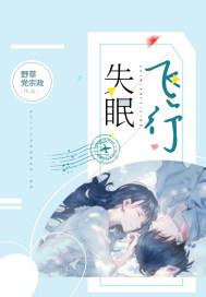 失眠飞行歌词