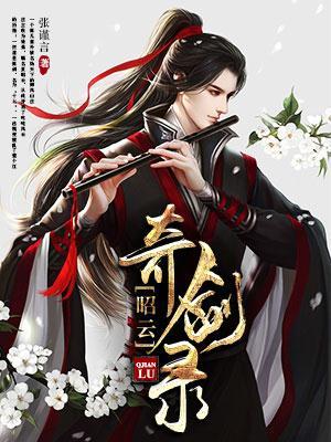 昭云奇剑录怎么样