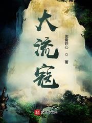 大流寇作者傲骨铁心
