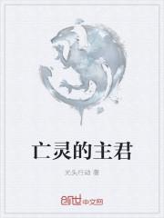 亡灵之主印花