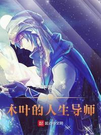 木叶的人生导师txt