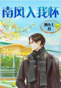 南风入我怀未删减版