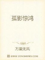 孤影照惊鸿