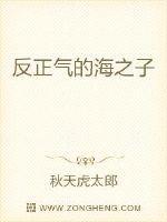 海贼之黑袍大将TXT