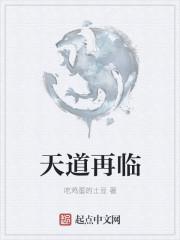 继播放天道