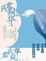 如君风华