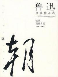 鲁迅作品选读后感300字