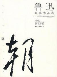 鲁迅作品选一个问题作为题目 写一个小文章