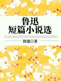 鲁迅短篇选好词好句段抄大全