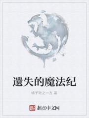 被遗忘的魔法师的遗产