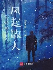 全职高手之风起散人zip