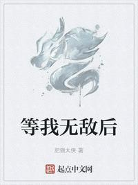 等我无敌后肥猫大侠