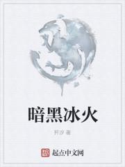 暗黑冰火法师攻略