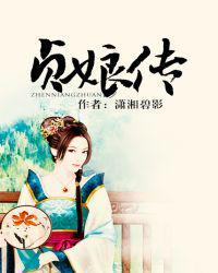 贞娘传相似文推荐