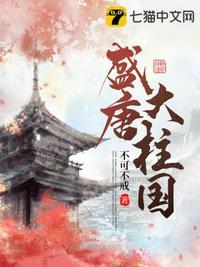 大唐盛世是哪