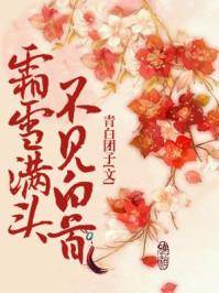 风雪满头不见白首