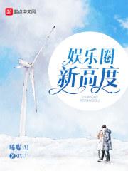 娱乐圈新高度txt