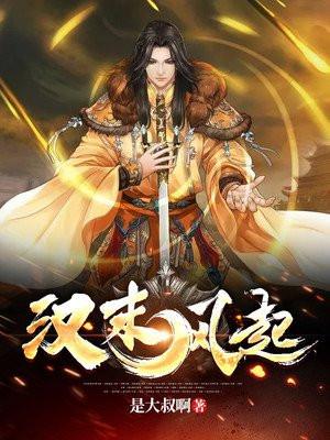 汉末风起大叔哟