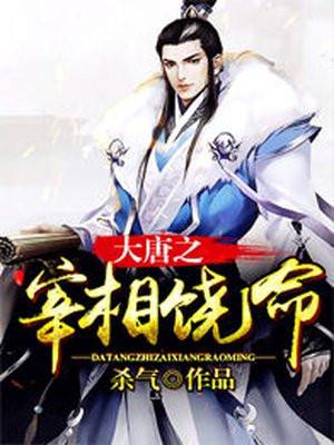 大唐之少年宰相作者西瓜大神