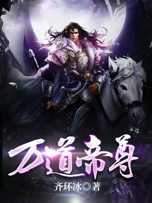 万道帝尊 齐环冰