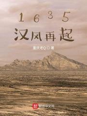 1635汉风再起类似
