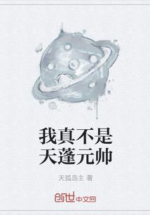 我真不是天蓬元帅 天狐岛主