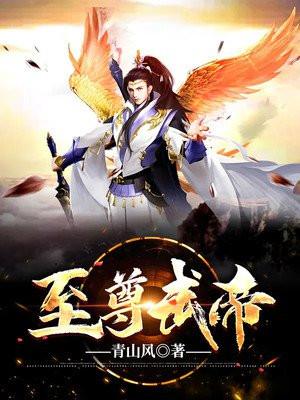 至圣武帝 青山风