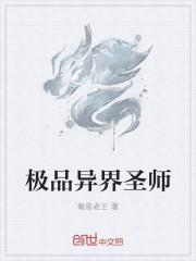 异界圣师系统